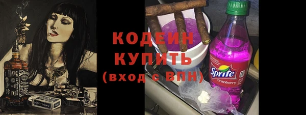 молекула духа Богданович
