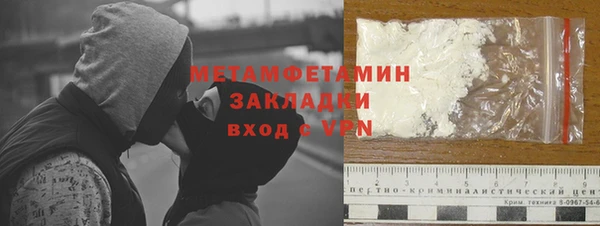 молекула духа Богданович