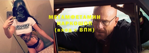 молекула духа Богданович