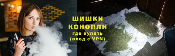 молекула духа Белоозёрский