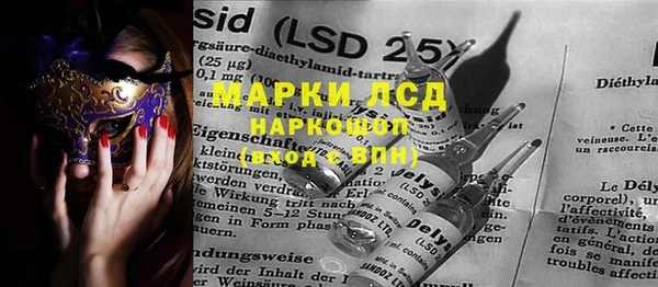 индика Балахна