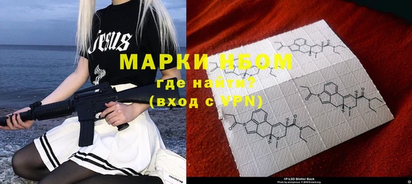 индика Балахна
