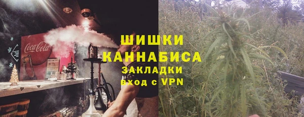молекула духа Белоозёрский