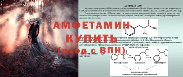 молекула духа Белоозёрский